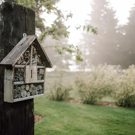 Tiny House, Kleinod Im Gruenen Διαμέρισμα