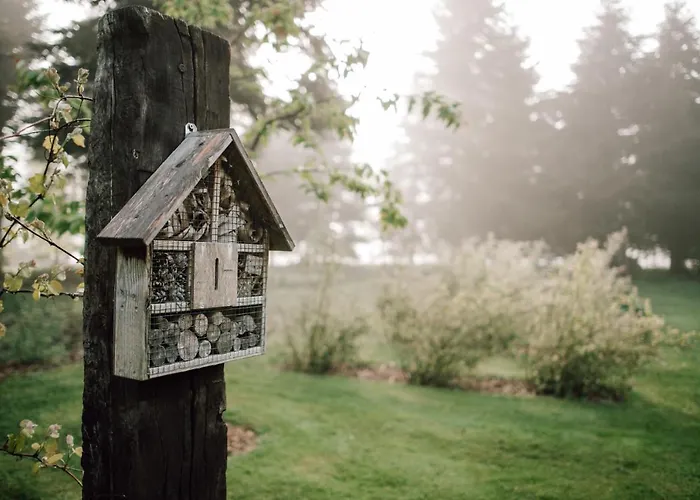 Tiny House, Kleinod Im Gruenen 아파트